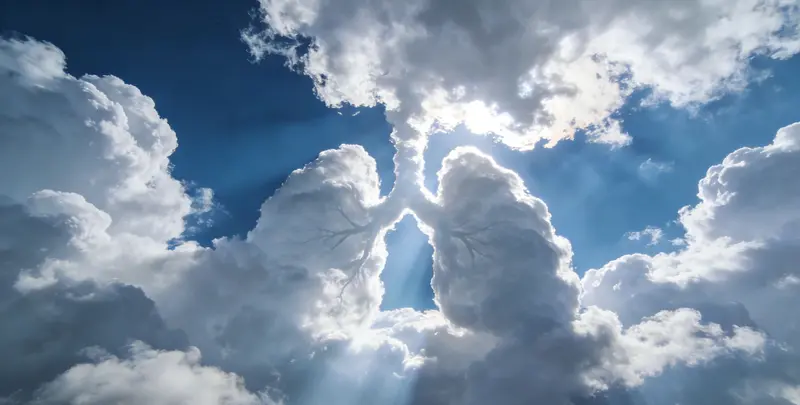 宣城肺癌120基因ctDNA突变检测(血液）图片1